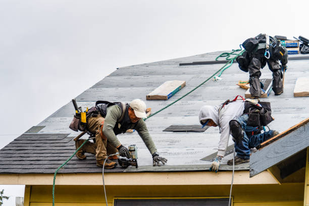 Professional Gutter Installation technician working in Crown Point, IN